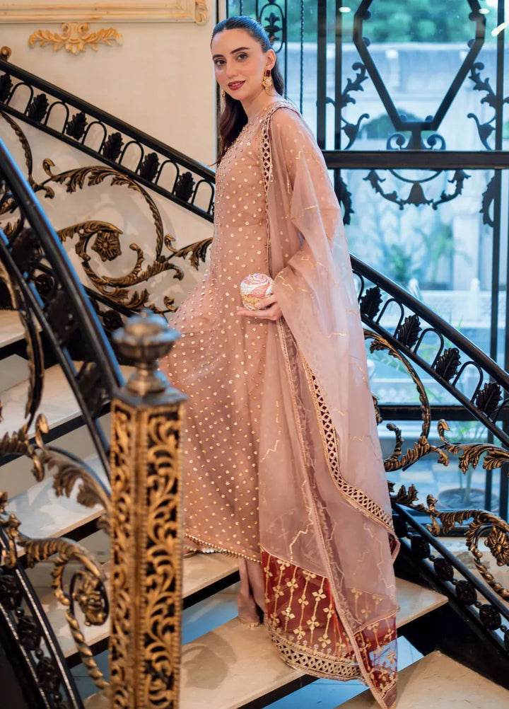 Savoir by Sahane Pret Embroidered Organza Suit 3 Piece CT-140001 Lirio