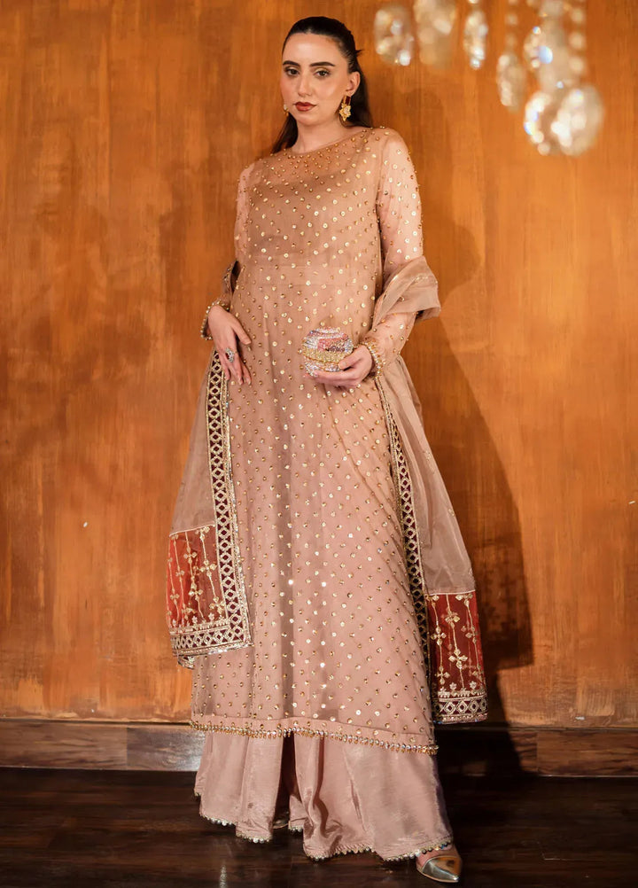 Savoir by Sahane Pret Embroidered Organza Suit 3 Piece CT-140001 Lirio