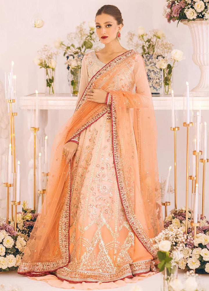 Sawariya By Roheenaz Embroidered Chiffon Suits Unstitched 4 Piece RNZ23S Runch230101 - Luxury Collection