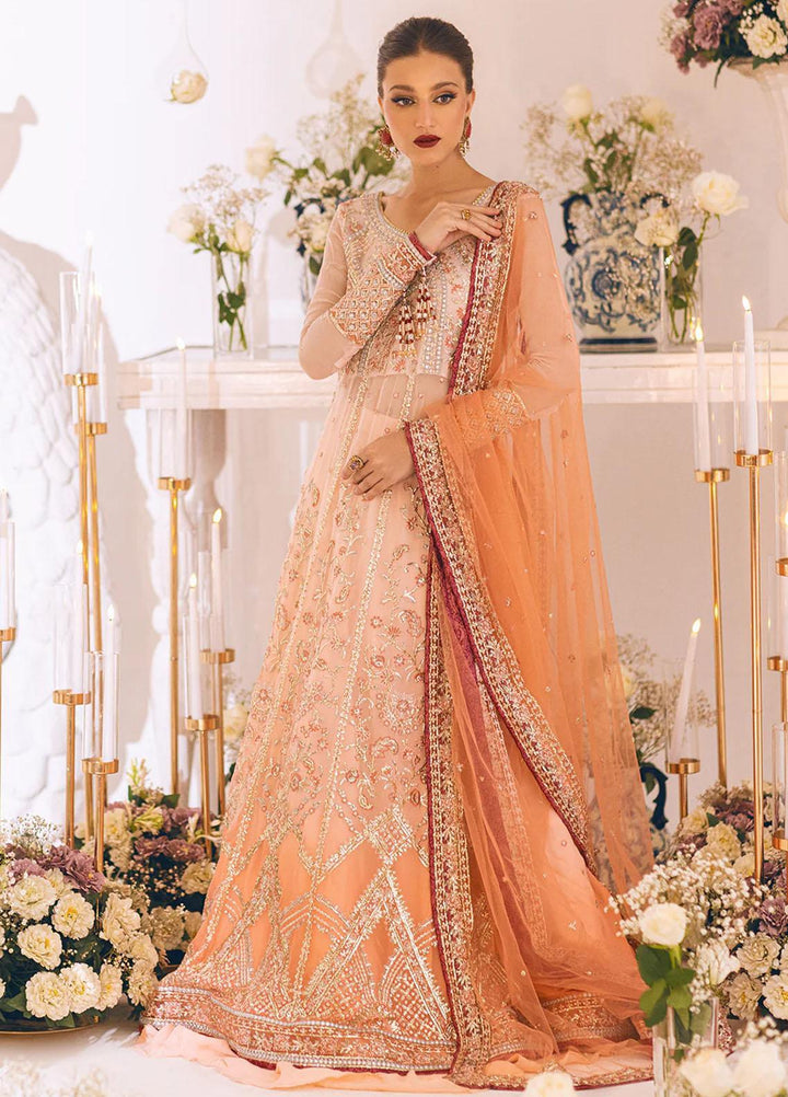 Sawariya By Roheenaz Embroidered Chiffon Suits Unstitched 4 Piece RNZ23S Runch230101 - Luxury Collection