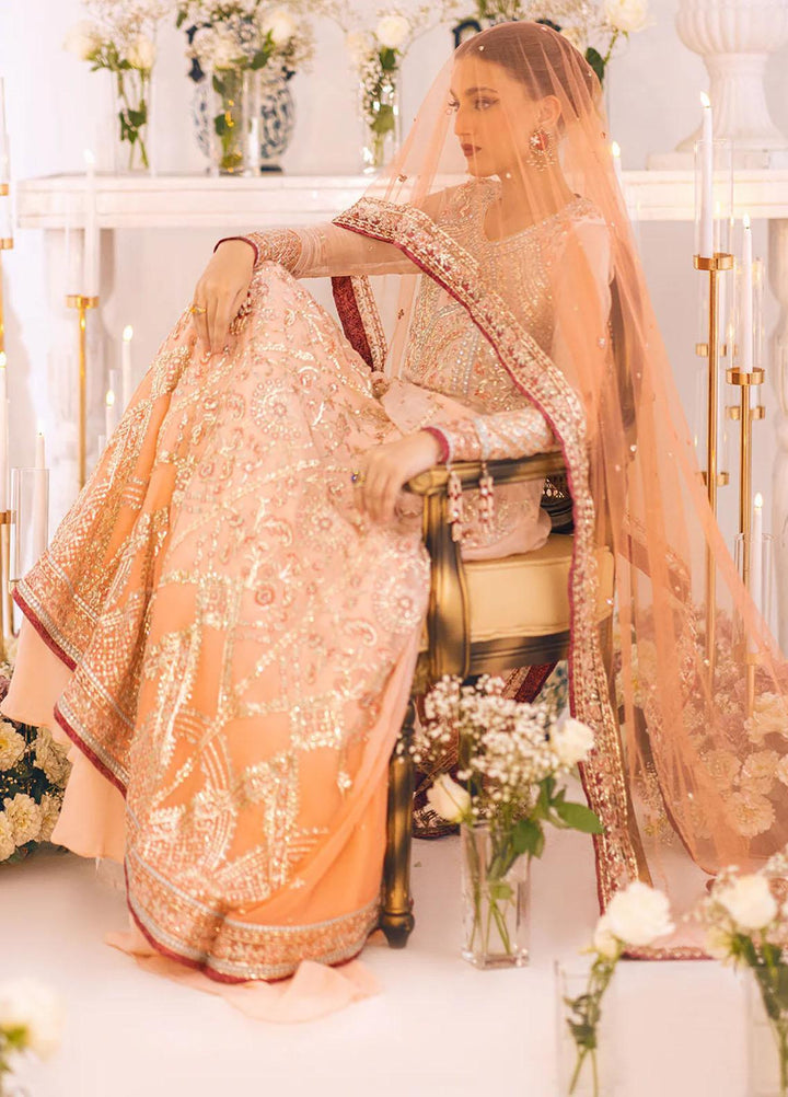 Sawariya By Roheenaz Embroidered Chiffon Suits Unstitched 4 Piece RNZ23S Runch230101 - Luxury Collection