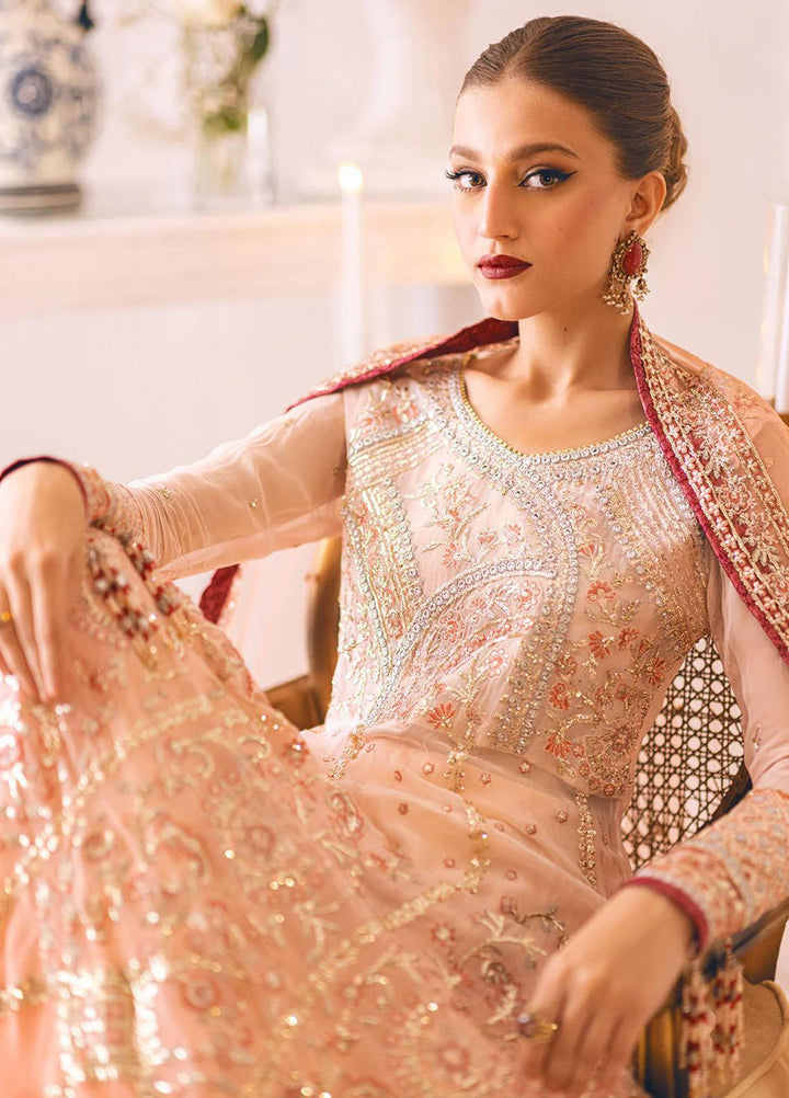 Sawariya By Roheenaz Embroidered Chiffon Suits Unstitched 4 Piece RNZ23S Runch230101 - Luxury Collection