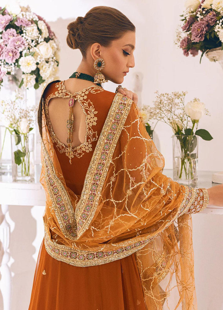 Sawariya By Roheenaz Embroidered Chiffon Suits Unstitched 4 Piece RNZ23S Runch230109 - Luxury Collection