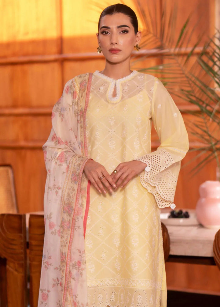 Seran Embroidered Lawn Suit Unstitched 3 Piece SRN24C D-02 Niran - Festive Collection