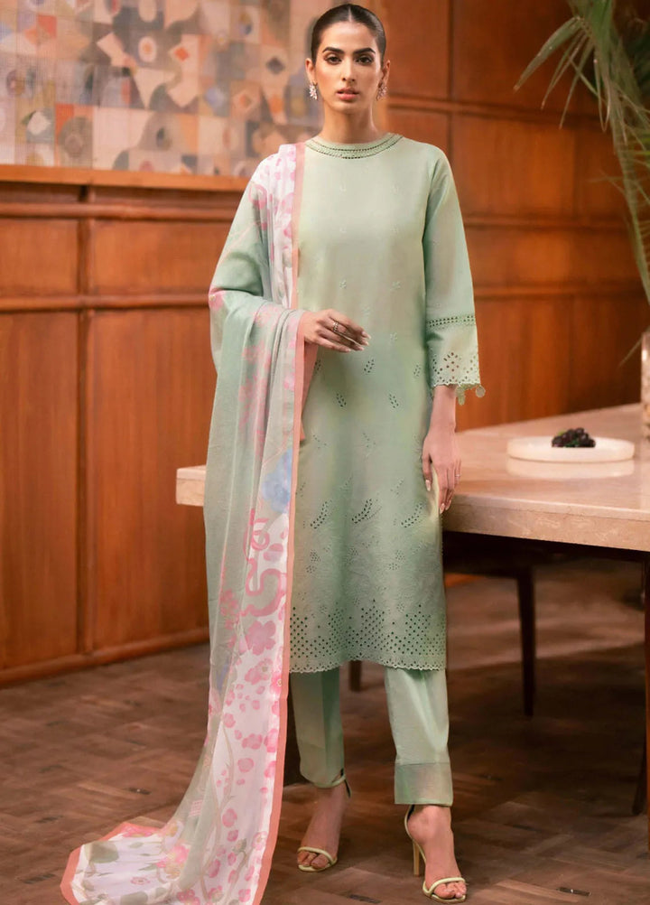 Seran Embroidered Lawn Suit Unstitched 3 Piece SRN24C D-05 Ziniya - Festive Collection