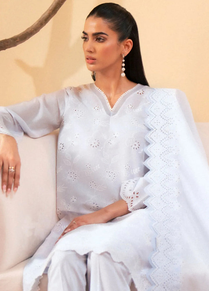 Seran Embroidered Lawn Suit Unstitched 3 Piece SRN24C D-08 Esme - Festive Collection