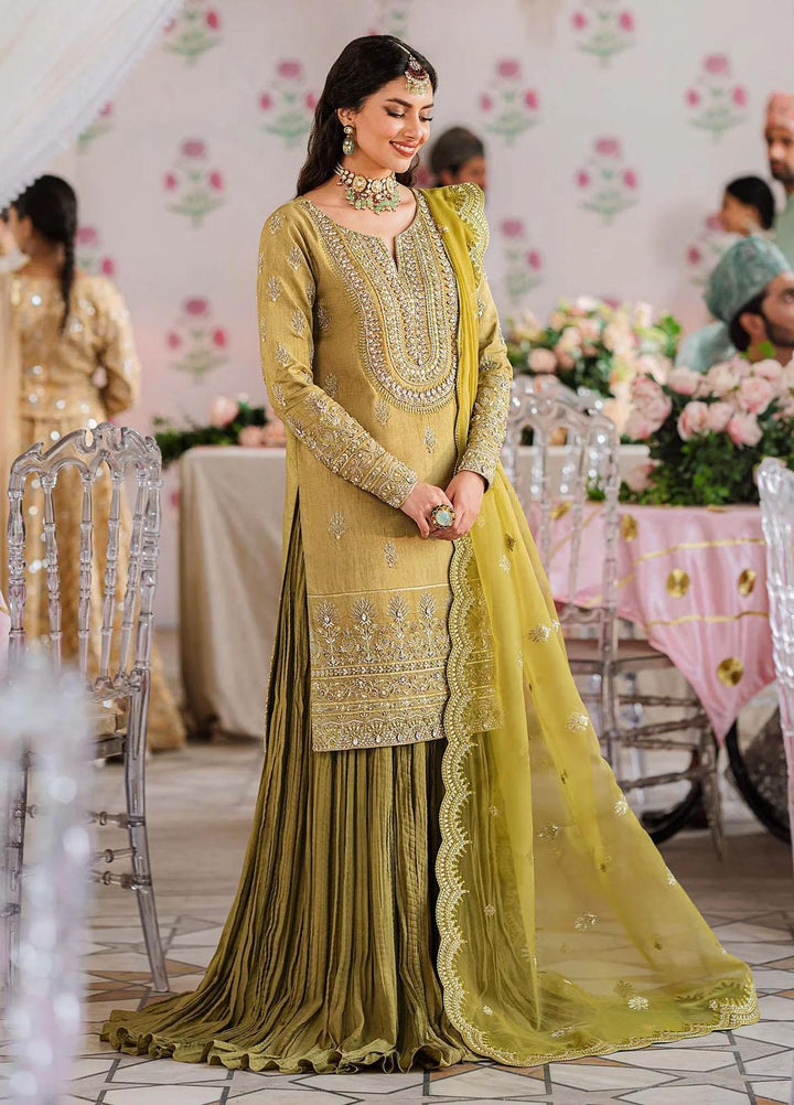 Shadmani By Akbar Aslam Embroidered Raw Silk Suits Unstitched 3 Piece AA23SH Meharzad - Luxury Collection
