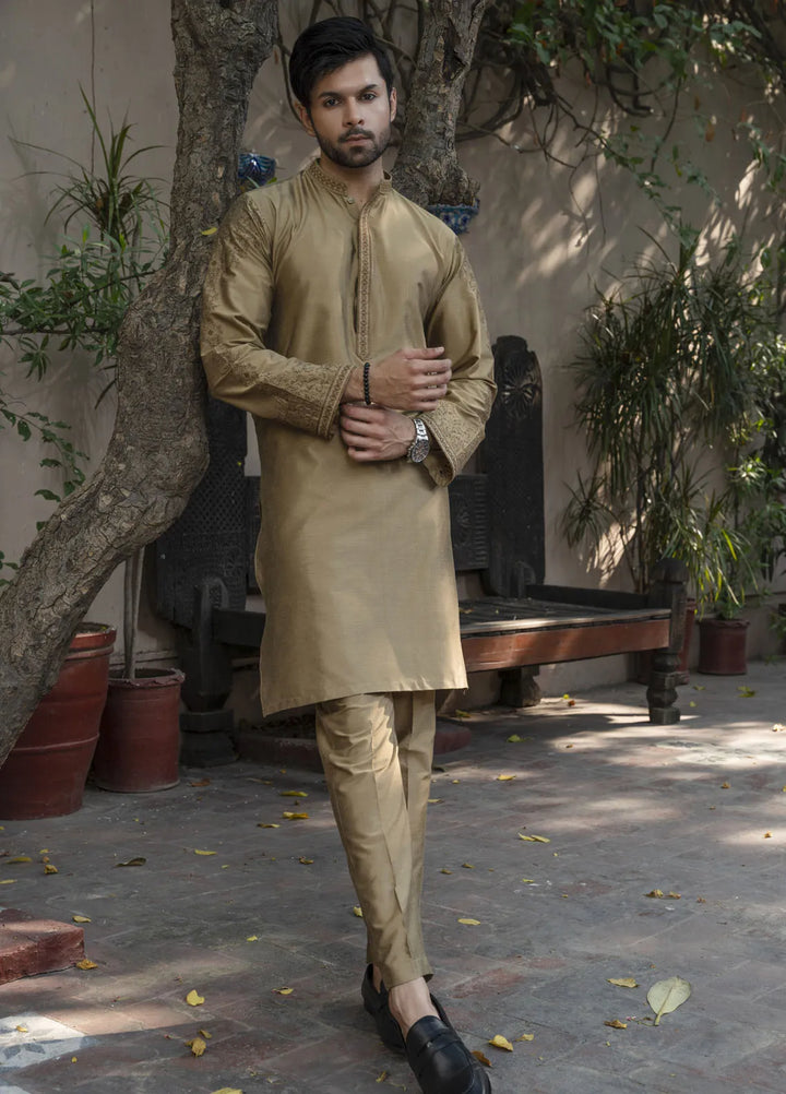 Shehnai by Fabrich Embroidered Cotton Silk Suit Unstitched 2 Piece GTS-SS-014 -Mens Collection