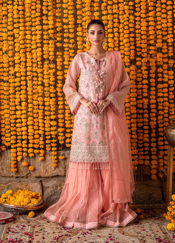 Shehnai by Salitex Embroidered Khaddi Net Suits Unstitched 3 Piece SUNW6JI046UT - Festive Collection