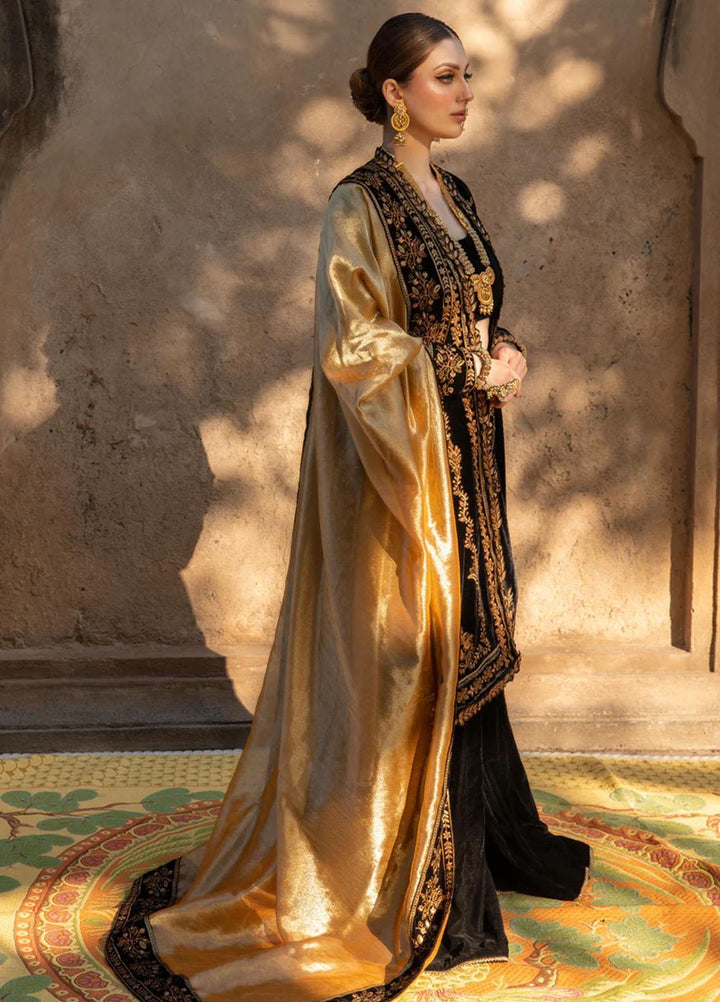 Shehnaiya By Rang Rasiya Embroidered Velvet Suits Unstitched 3 Piece RR23SH D-03 Heer - Wedding Collection