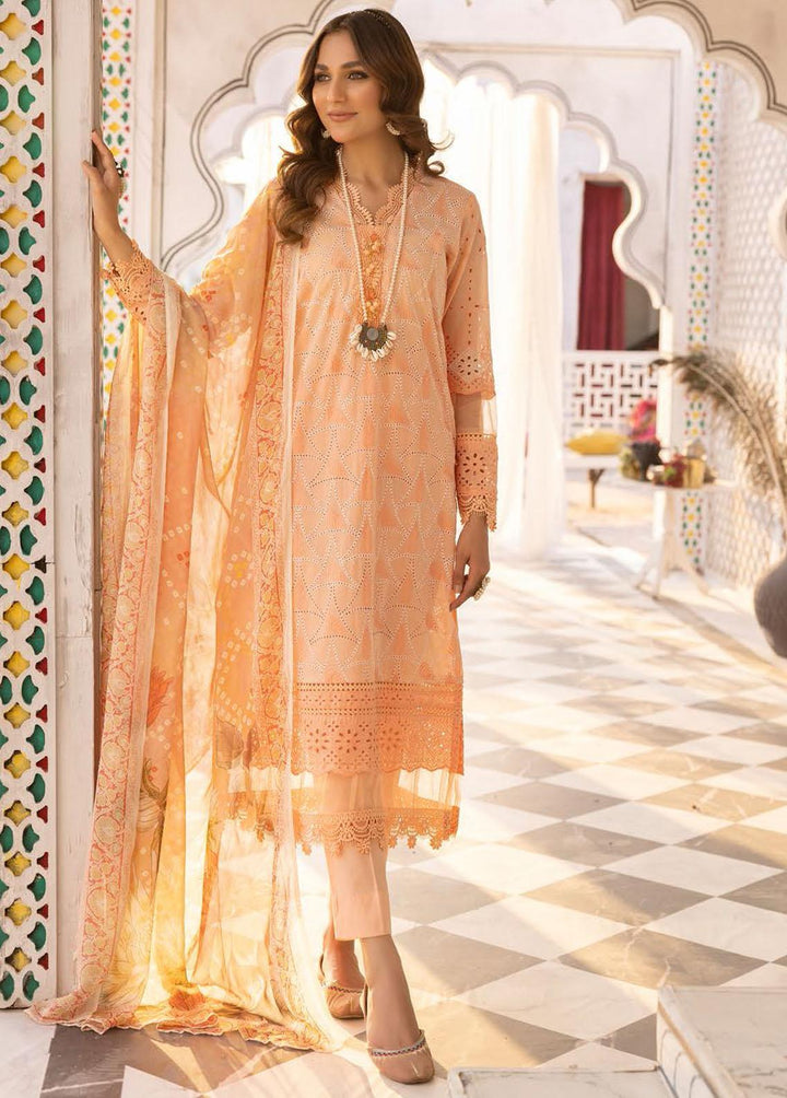 Sophia By Riaz Arts Embroidered Lawn Suits Unstitched 3 Piece RA23-S3 03 - Winter Collection