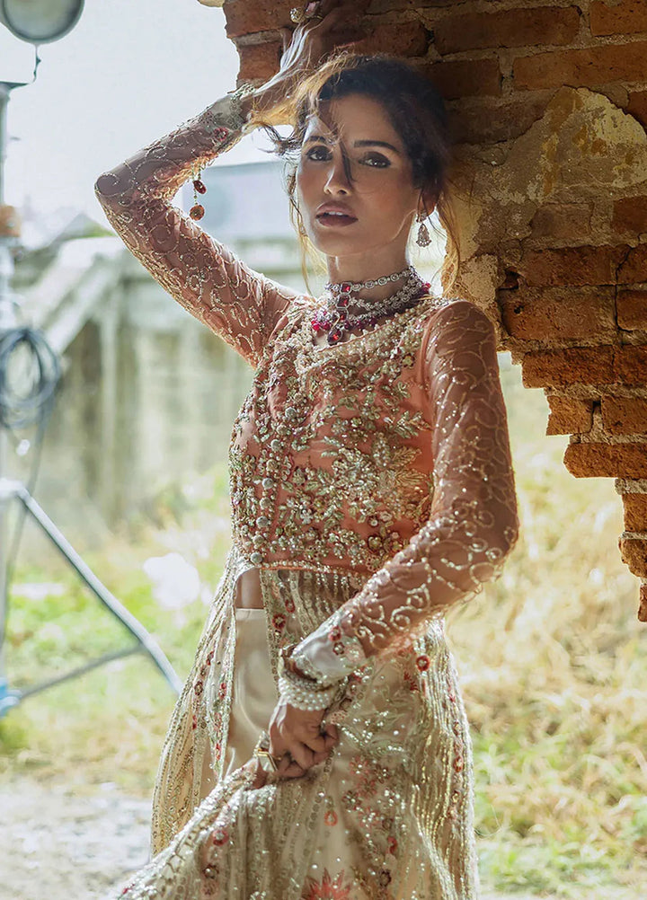 Stardust by Mushq Embroidered Net Suit Unstitched 4 Piece MQ24SW MWD-01 Galaxy Gown - Formal Collection