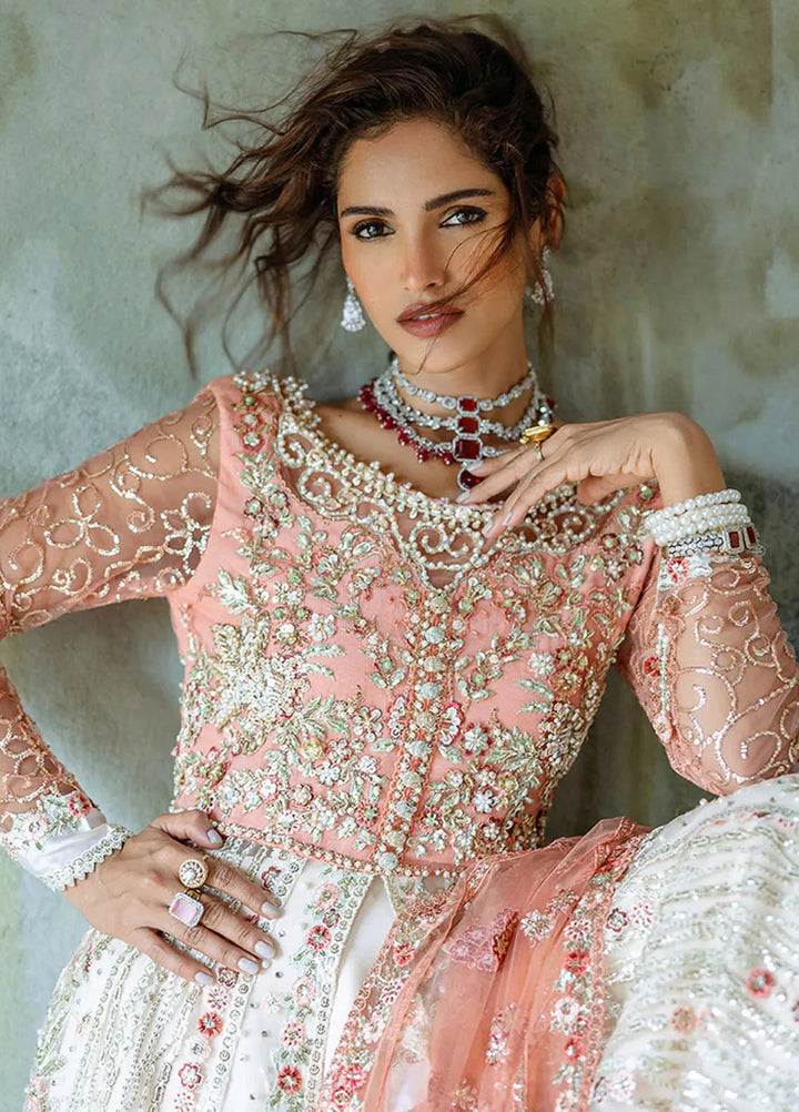 Stardust by Mushq Embroidered Net Suit Unstitched 4 Piece MQ24SW MWD-01 Galaxy Gown - Formal Collection