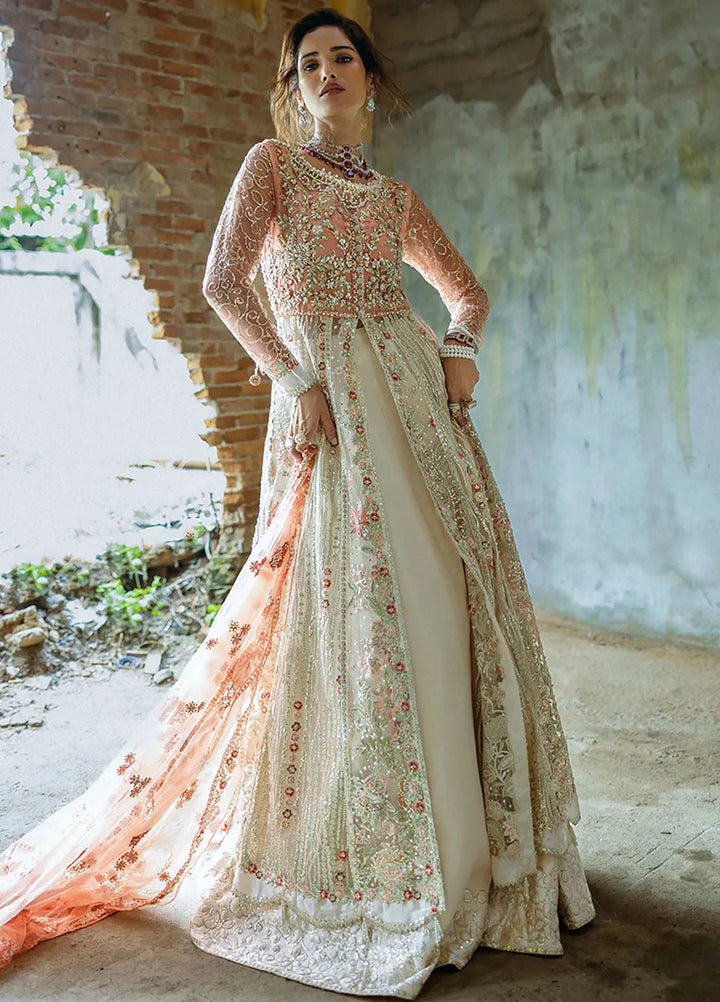 Stardust by Mushq Embroidered Net Suit Unstitched 4 Piece MQ24SW MWD-01 Galaxy Gown - Formal Collection