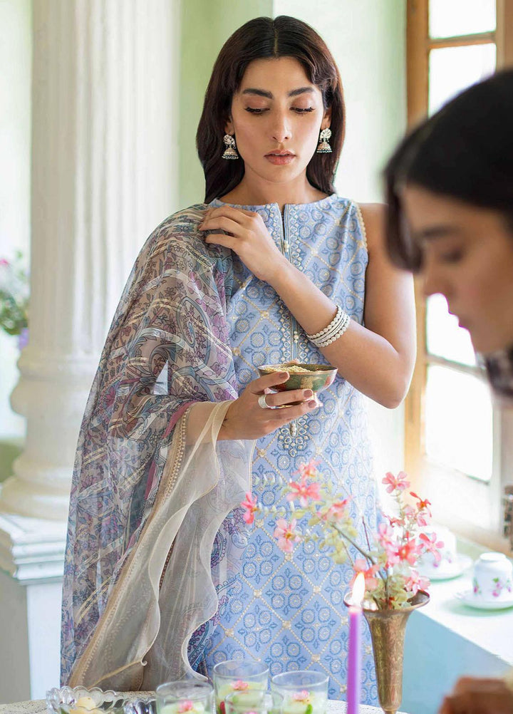 Sunehray Din By Seran Embroidered Lawn Suits Unstitched 3 Piece SRN23SD D-07 Zeb - Festive Collection