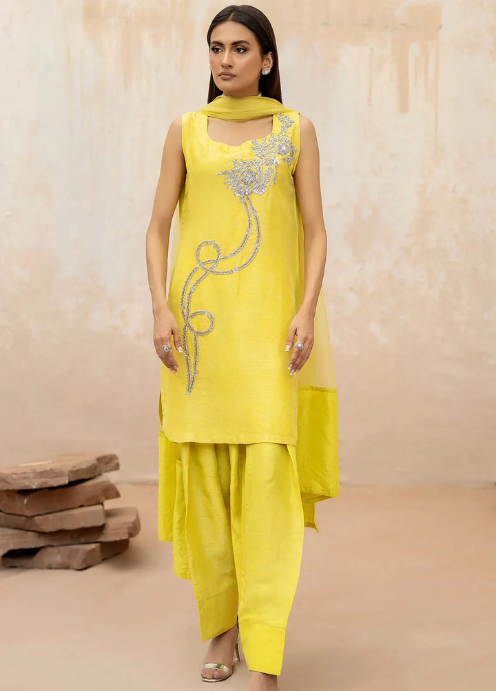 Syah Pret Embellished Raw Silk 3 Piece Suit EST-012 TILISMI