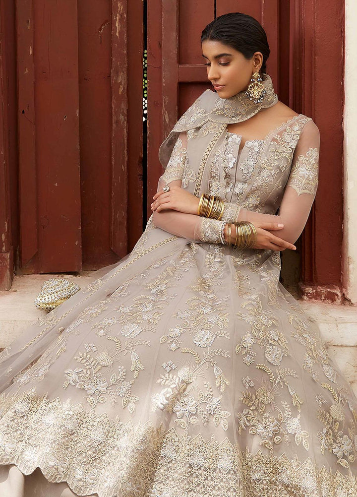 Taaruf By Seran Embroidered Net Suits Unstitched 4 Piece SRN23TF D-05 Hana - Luxury Formal Collection