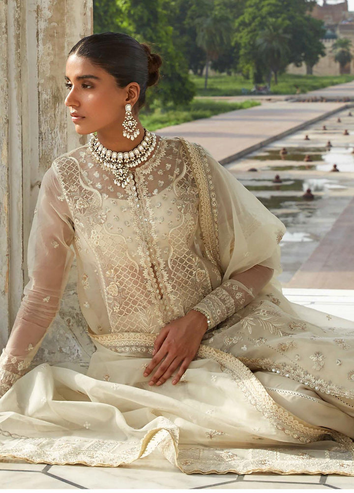 Taaruf By Seran Embroidered Organza Suits Unstitched 4 Piece SRN23TF D-08 Zora - Luxury Formal Collection