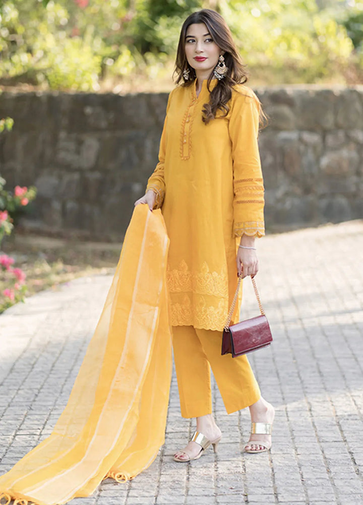 Tassawur Pret Embroidered Cotton 3 Piece Suit Malt