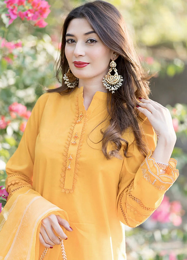 Tassawur Pret Embroidered Cotton 3 Piece Suit Malt