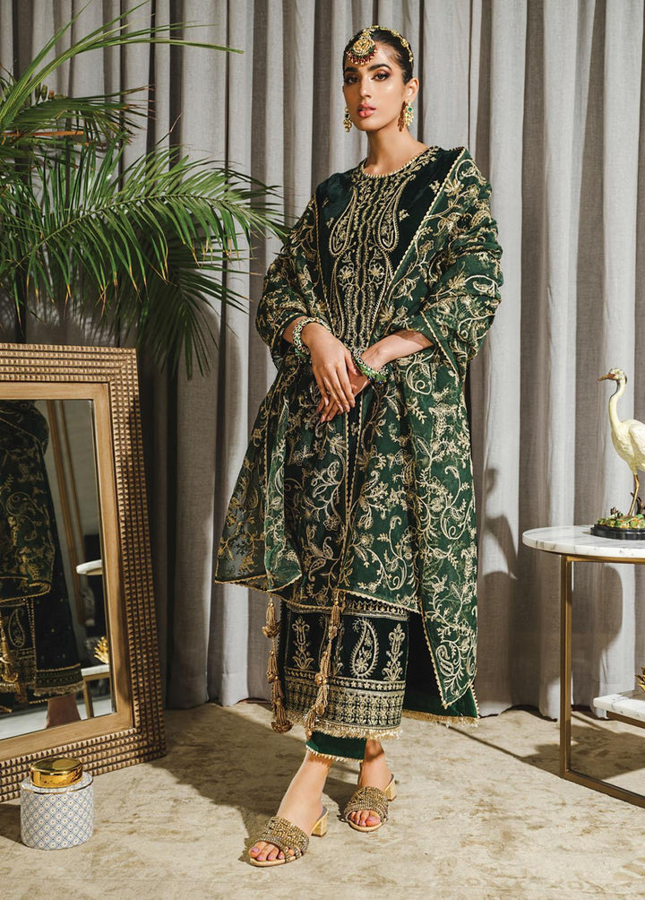 Tehwaar By Rang Rasiya Embroidered Velvet Suits Unstitched 3 Piece RR22T D-02  Jaha Aara - Luxury Collection