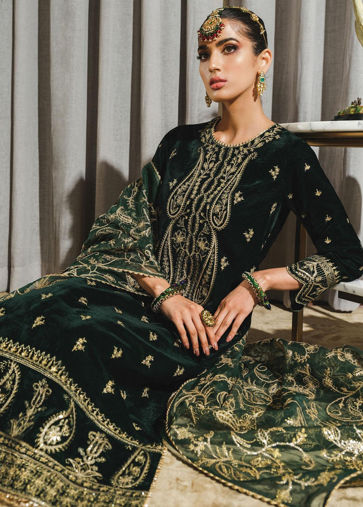 Tehwaar By Rang Rasiya Embroidered Velvet Suits Unstitched 3 Piece RR22T D-02  Jaha Aara - Luxury Collection