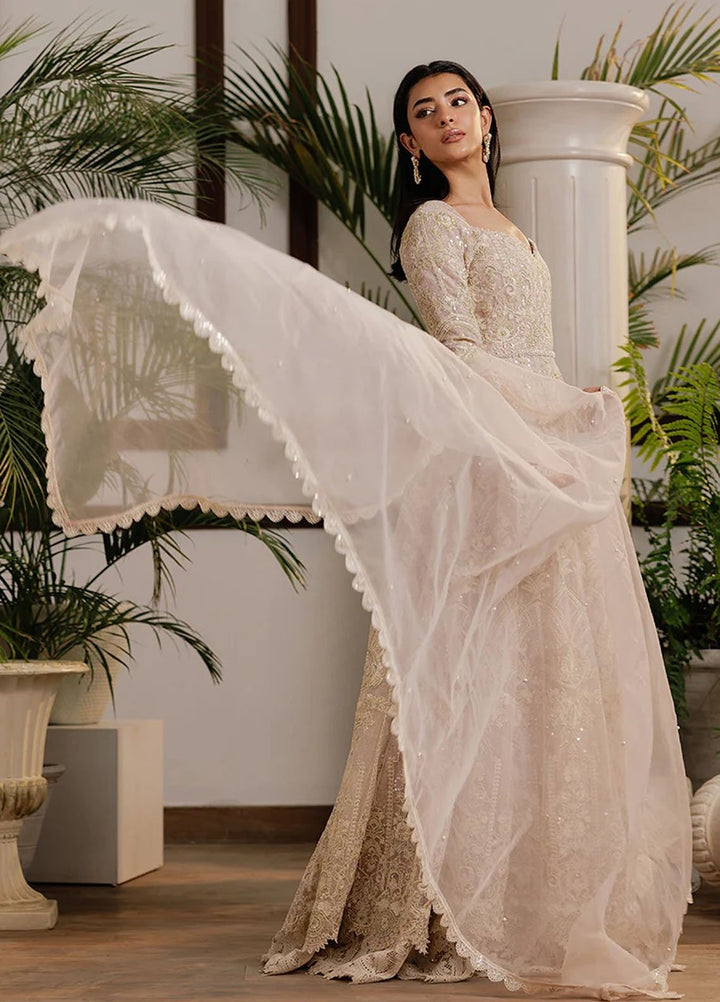 Thread and Motifs Pret Embroidered Net 2 Piece 8390.3