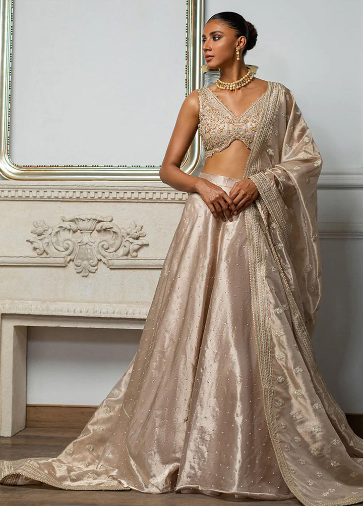 Threads & Motifs Luxury Pret  Tissue Lehenga and Blouse 8194