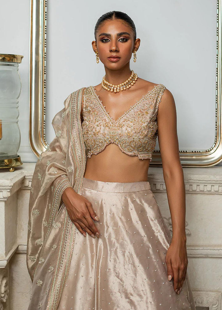 Threads & Motifs Luxury Pret  Tissue Lehenga and Blouse 8194