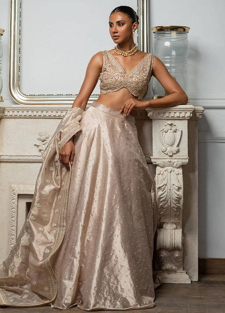 Threads & Motifs Luxury Pret  Tissue Lehenga and Blouse 8194