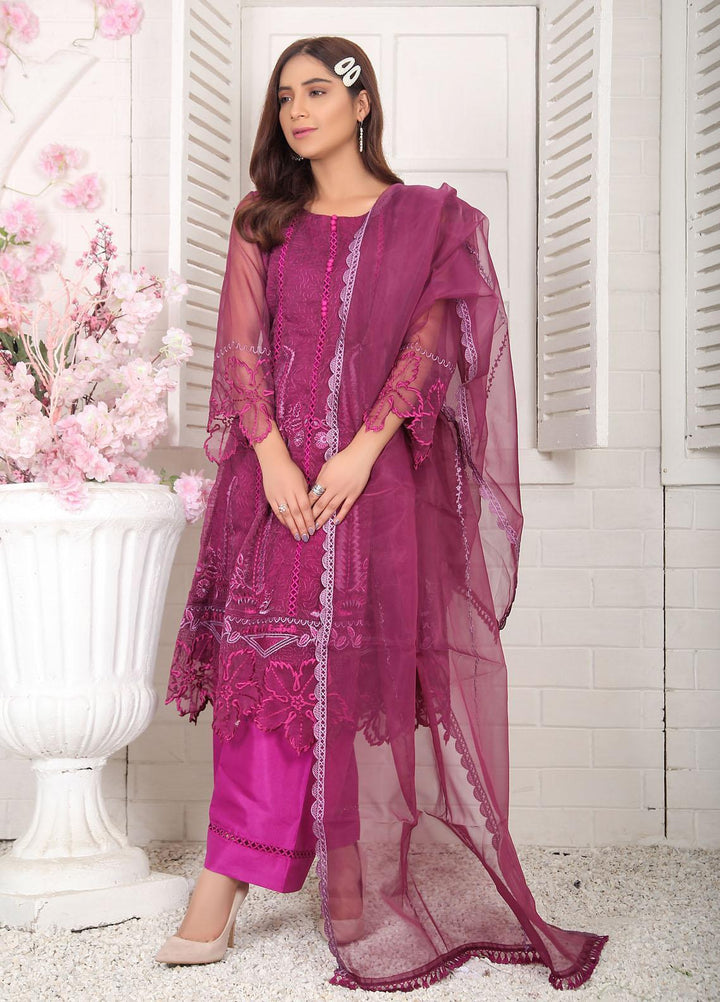 Top Notch Festive Pret  Organza 2 Piece Charoite