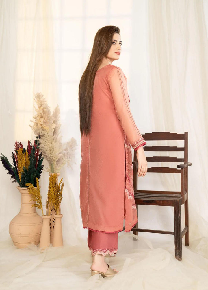 Noorangi Luxury Pret  Organza 2 Piece Suit NR22VF Enchanted Glow