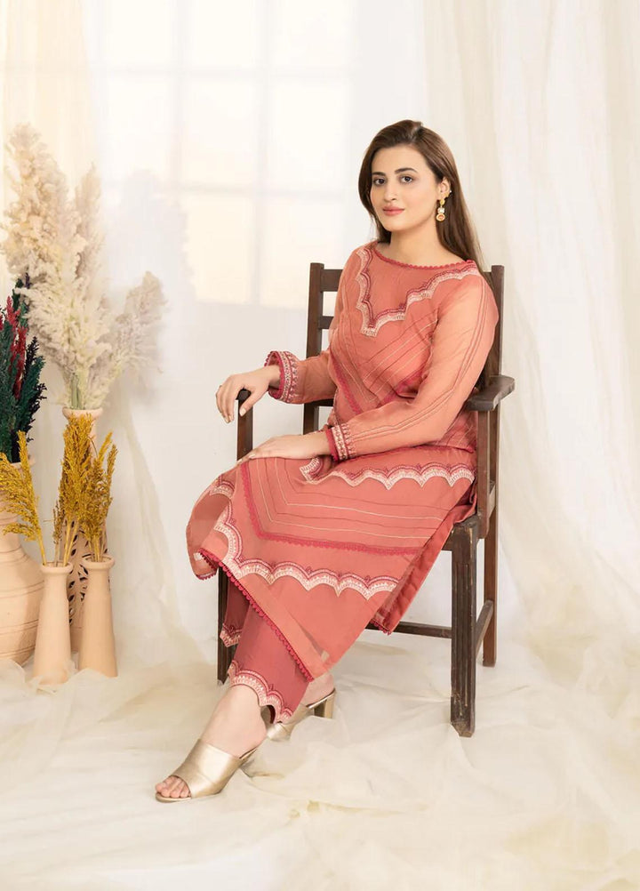 Noorangi Luxury Pret  Organza 2 Piece Suit NR22VF Enchanted Glow