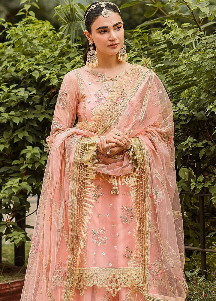 Trousseau By Vitalia Embroidered Net Suits Unstitched 4 Piece VT22T Camellia Pink - Wedding Collection