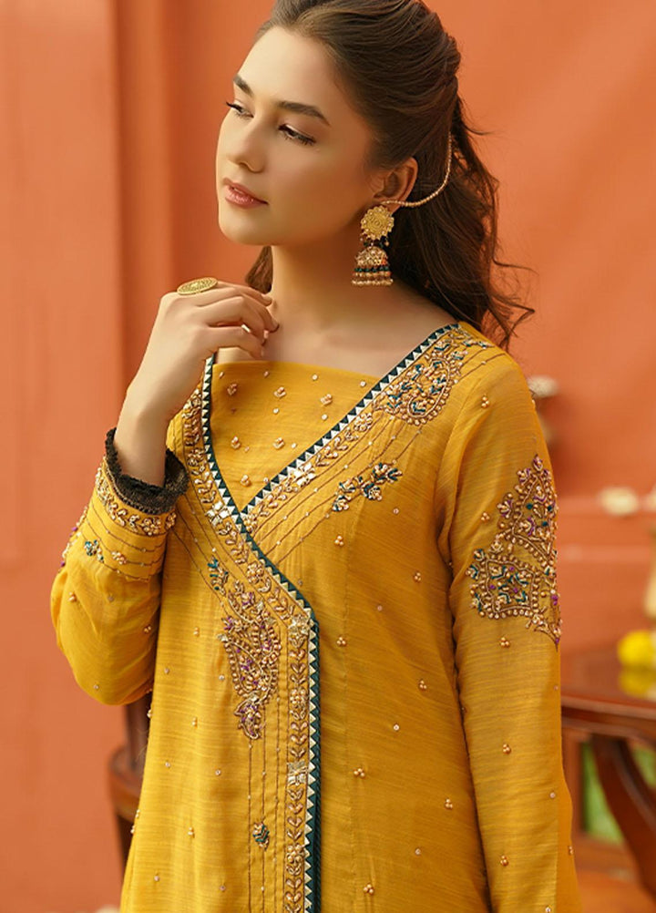 Zaaviay Luxury Pret  Karandi 3 Piece Suit ZV22BH SOORAJMUKHI