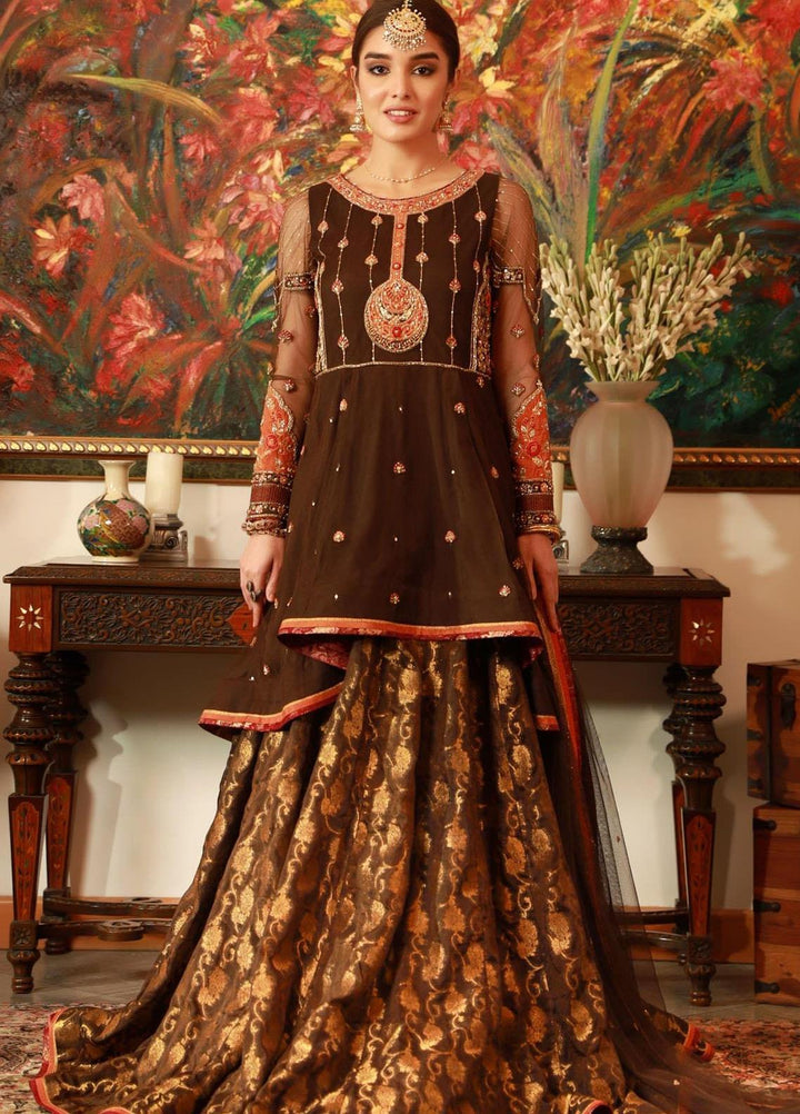 Zaaviay Embroidered Net Stitched 3 Piece Suit DHOL BAJE