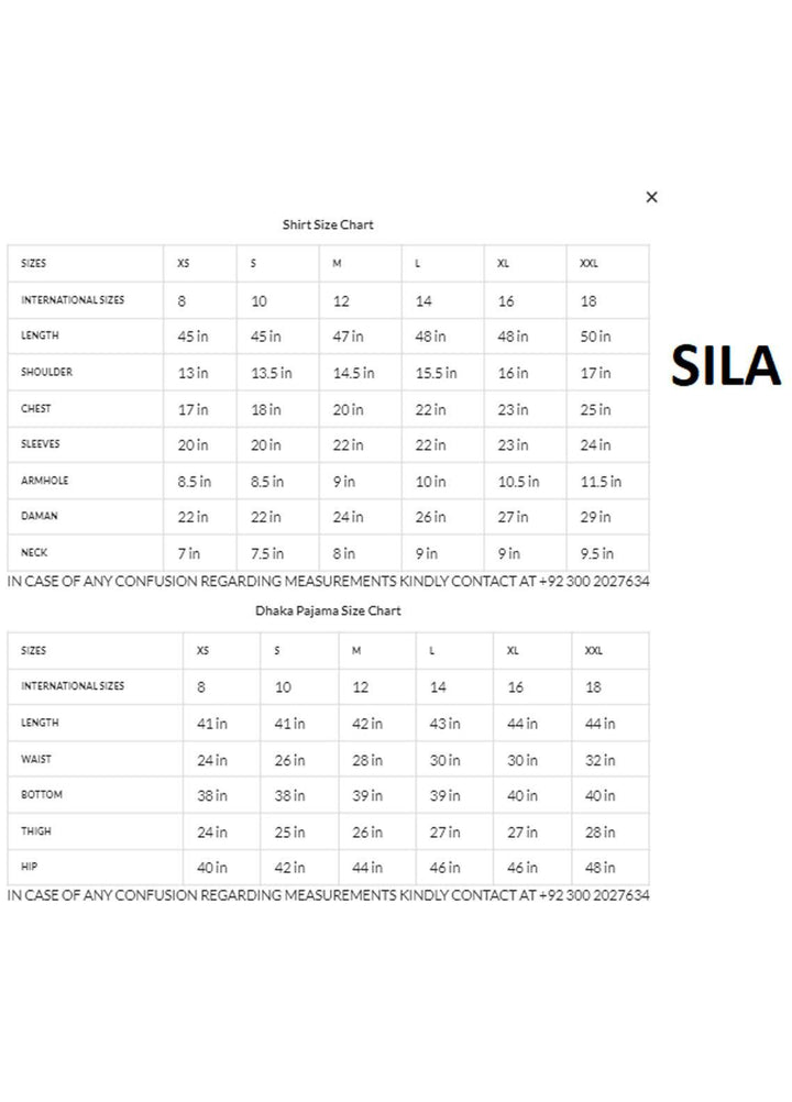 Zaaviay Luxury Pret  Net 3 Piece Dress ZV21PF SILA ZVS-006