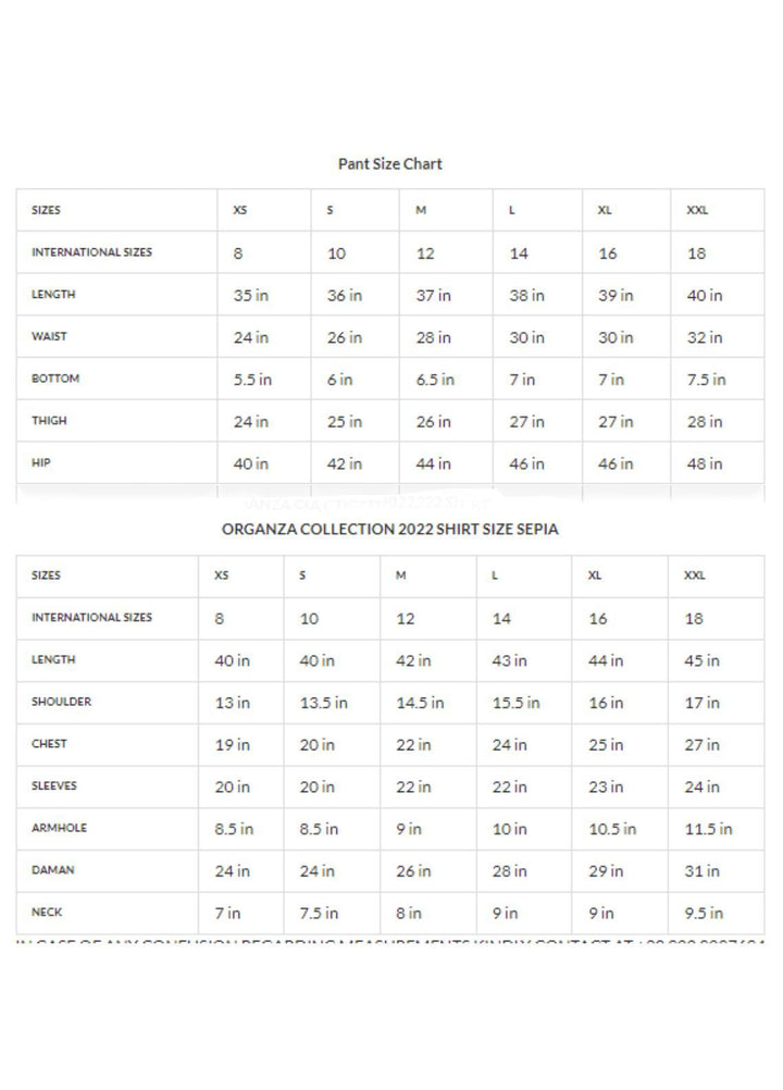 Zaaviay Luxury Pret Embroidered Organza 2 Piece Dress ZV22OG FREESIA