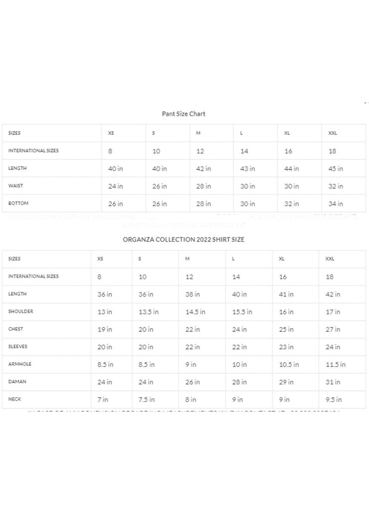 Zaaviay Luxury Pret Embroidered Organza 2 Piece Dress ZV22OG EBONY