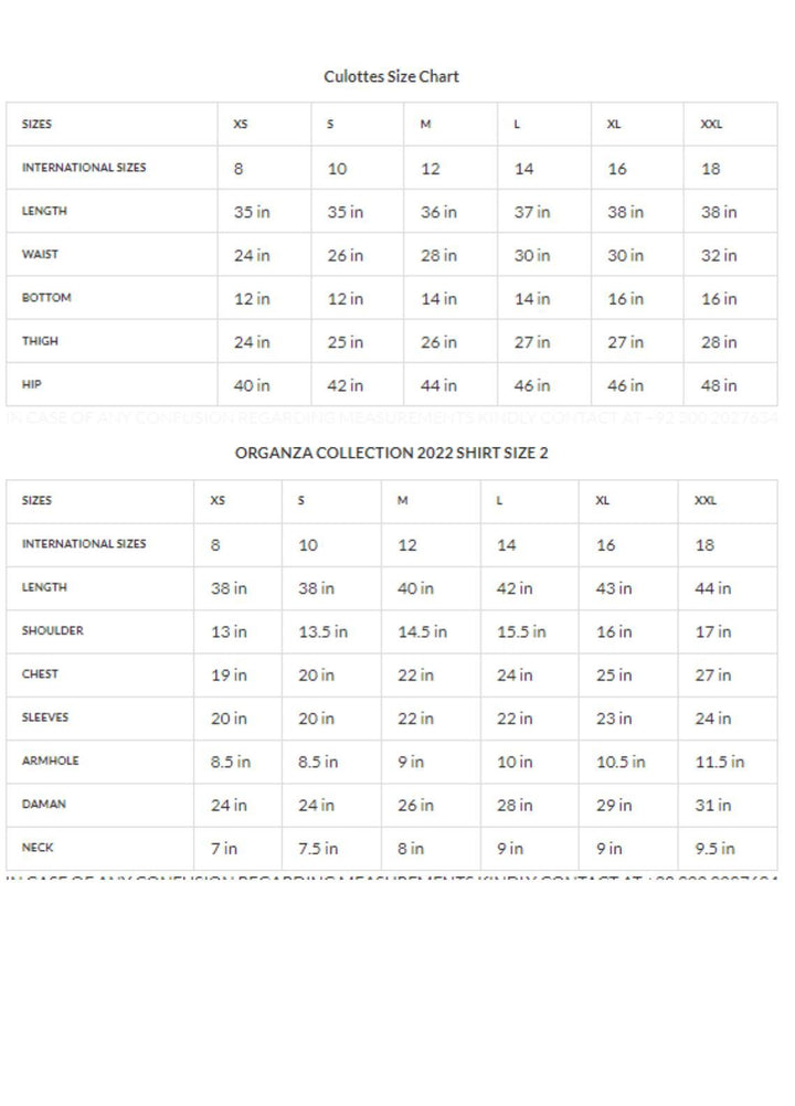 Zaaviay Luxury Pret Embroidered Organza 2 Piece Dress ZV22OG DANDELION