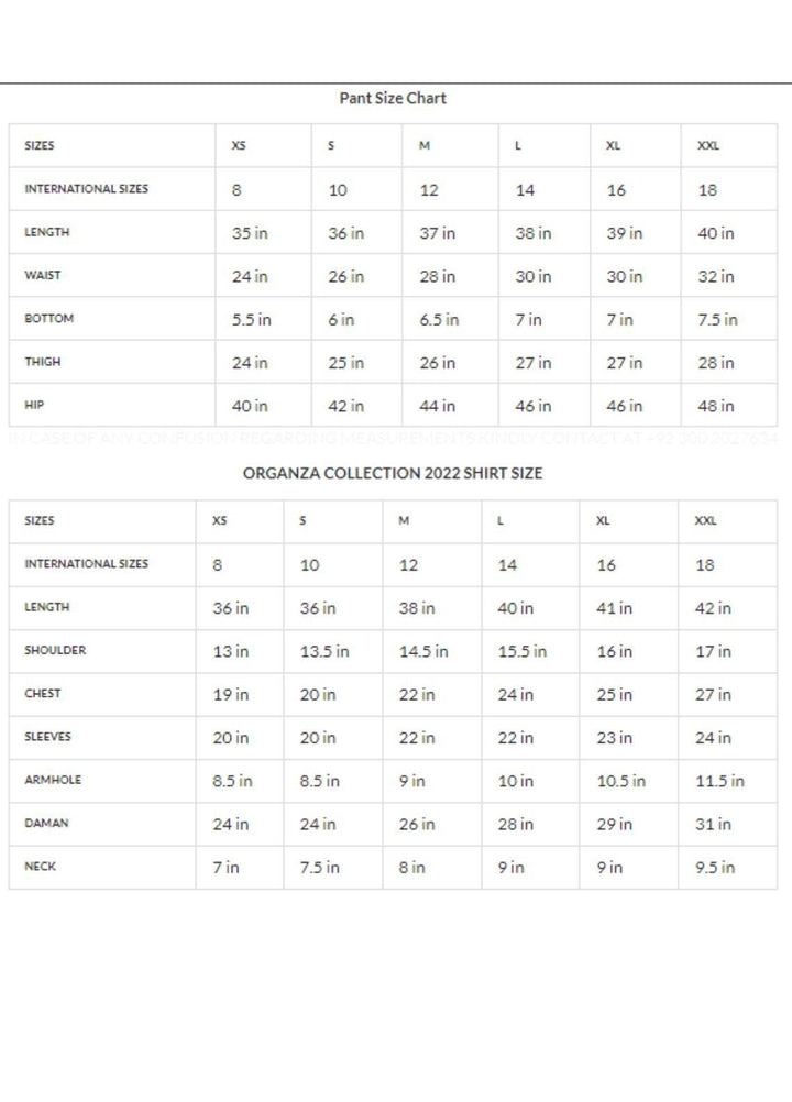 Zaaviay Luxury Pret Embroidered Organza 2 Piece Dress ZV22OG FERN