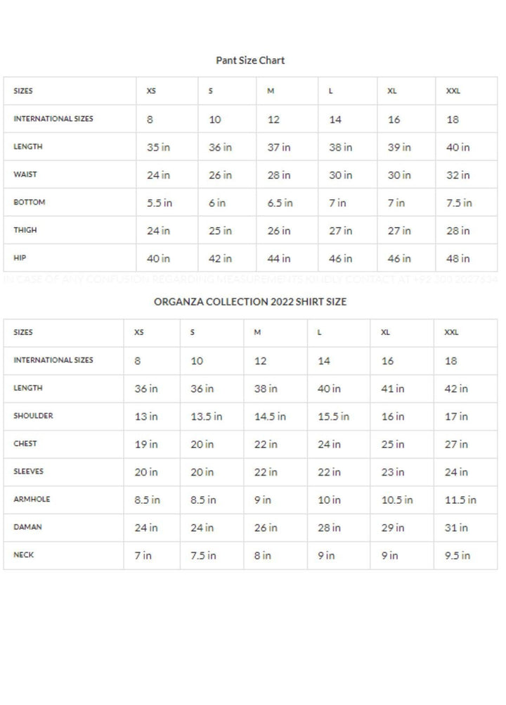 Zaaviay Luxury Pret Embroidered Organza 2 Piece Dress ZV22OG CARMINE