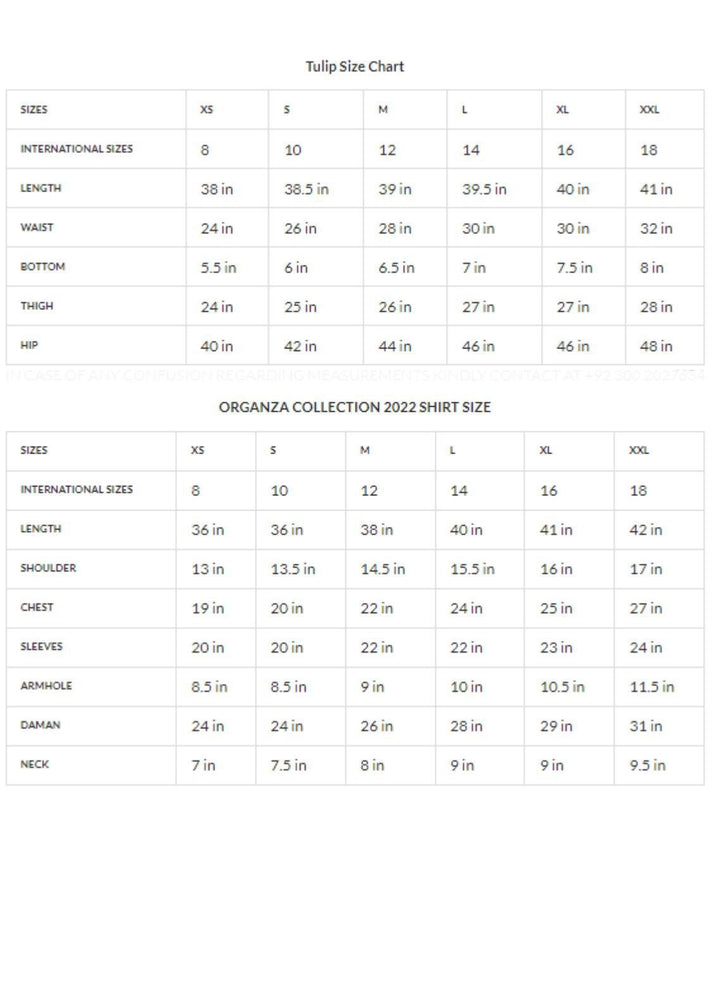 Zaaviay Luxury Pret Embroidered Organza 2 Piece Dress ZV22OG AMETHYST