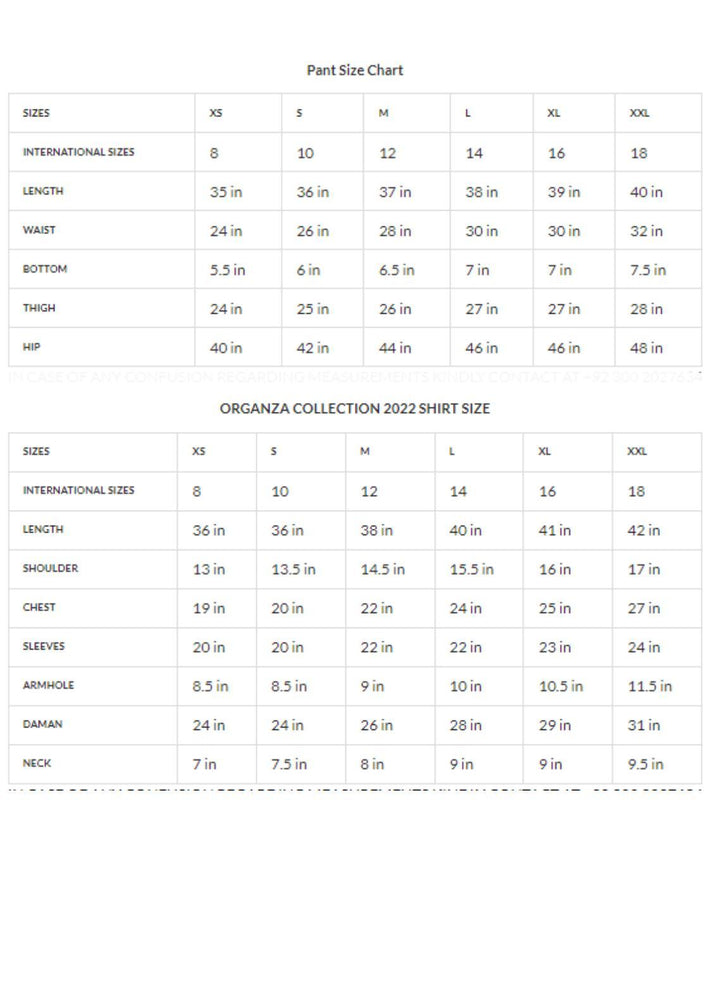 Zaaviay Luxury Pret Embroidered Organza 2 Piece Dress ZV22OG SAKURA