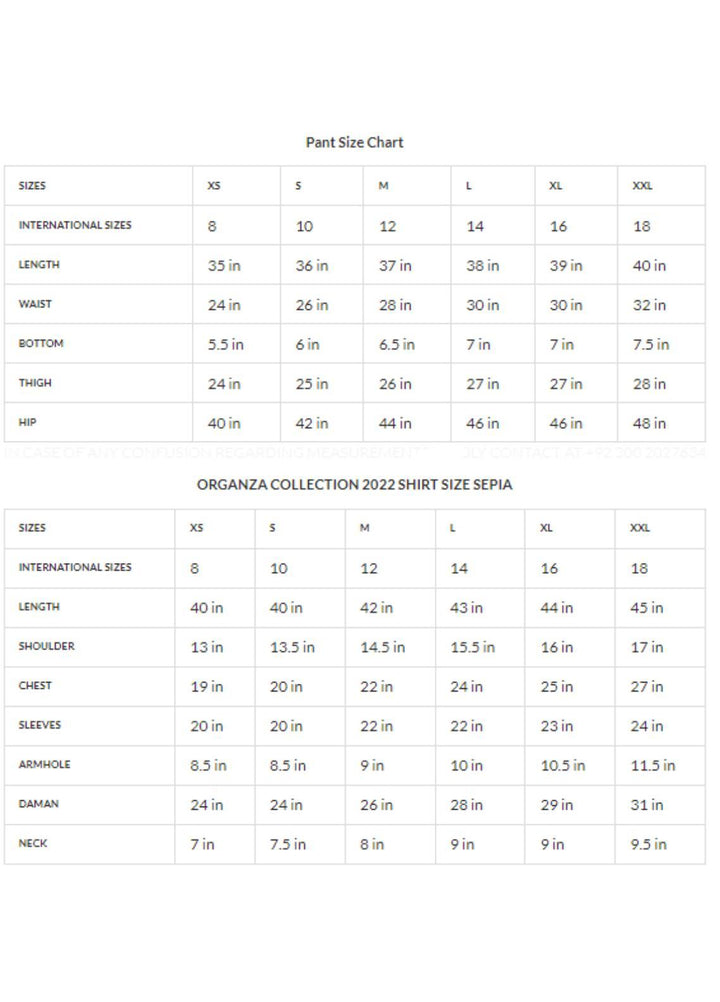 Zaaviay Luxury Pret Embroidered Organza 2 Piece Dress ZV22OG SEPIA