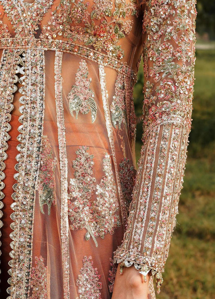 Zaib-un-Nisa by Hussain Rehar Embroidered Net Suits Unstitched 4 Piece HRR23ZN Chaman - Festive Collection