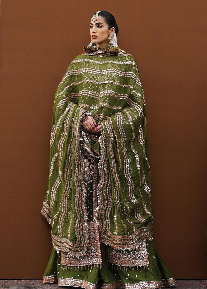 Zaib-un-Nisa by Hussain Rehar Embroidered Organza Suits Unstitched 4 Piece HRR23ZN Zaitoon - Festive Collection