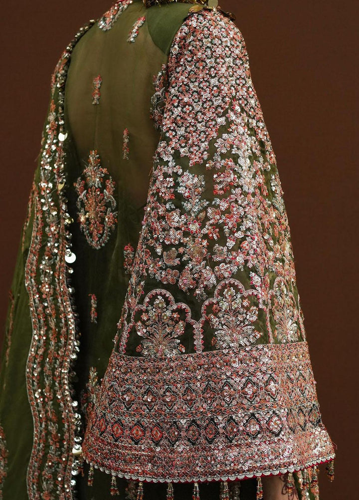 Zaib-un-Nisa by Hussain Rehar Embroidered Organza Suits Unstitched 4 Piece HRR23ZN Zaitoon - Festive Collection