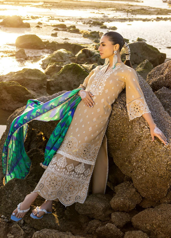 Zainab Chottani Embroidered Lawn Suits Unstitched 3 Piece DEEDAG ZC23CHN 02-B - Luxury Lawn Collection