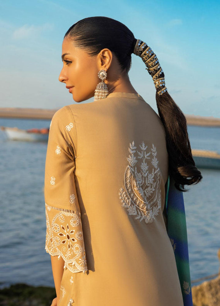 Zainab Chottani Embroidered Lawn Suits Unstitched 3 Piece DEEDAG ZC23CHN 02-B - Luxury Lawn Collection